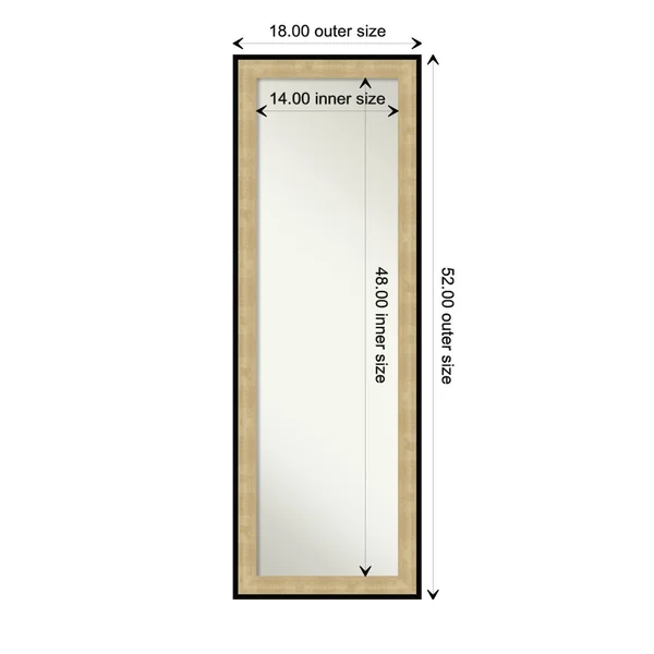 Amanti Art Swan Champagne Black Full Length Over-The-Door Mirror - Gold