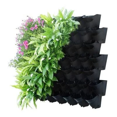 Rogan Self Watering Plastic Wall Planter Arlmont & Co. Color: Black