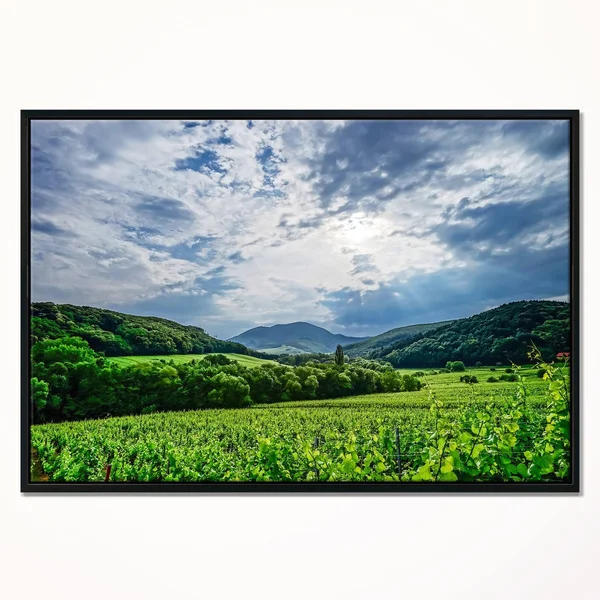 Designart 'Thunderstorm Weather Over Vineyards' Landscape Framed Canvas Art Print - 40 in. Wide x 30 in. High