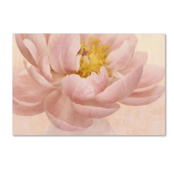 Trademark Fine Art Ali1869-C2232Gg Cora Niele &Pink Peony& Canvas Art