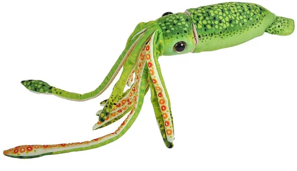 Plush Green Squid 29 inch Stuffed Animal by Wild Republic
