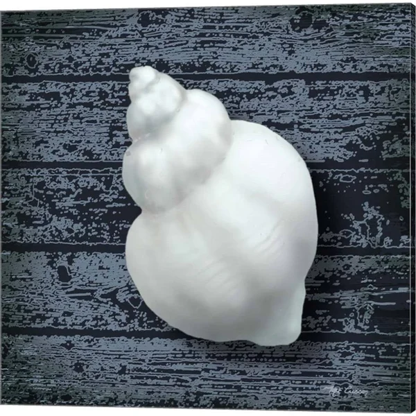 Great Art Now Seashore Shells Navy by Marie-Elaine Cusson 3 Piece Canvas Art Set Each 14W x 14H - Size: 14 x 14, White