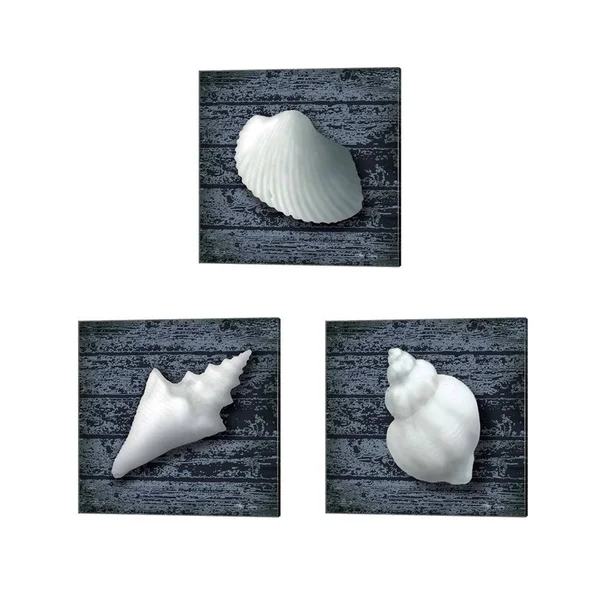 Great Art Now Seashore Shells Navy by Marie-Elaine Cusson 3 Piece Canvas Art Set Each 14W x 14H - Size: 14 x 14, White