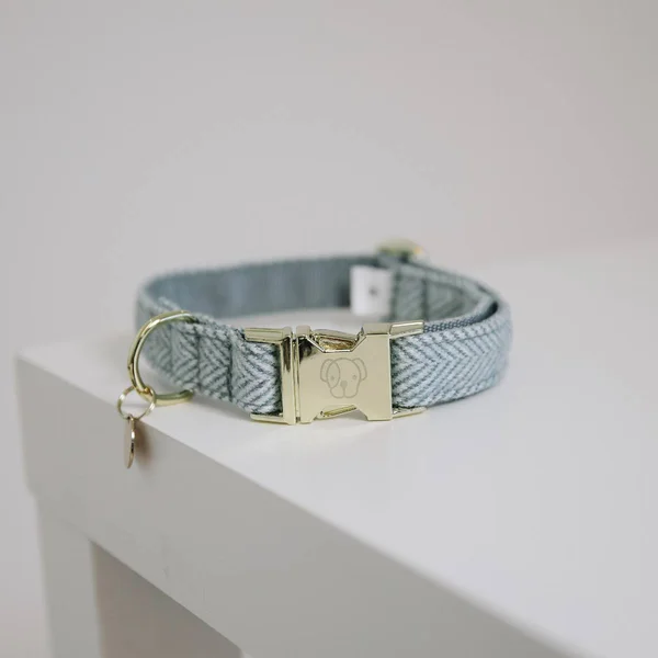 Kentucky Dogwear Dog Collar Wool