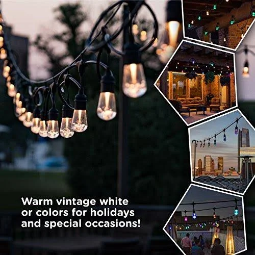 Enbrighten Seasons LED Warm White & Color Changing Café String Lights with Oil-Rubbed Bronze Lens Shade, Black, 48ft, 24 Imp