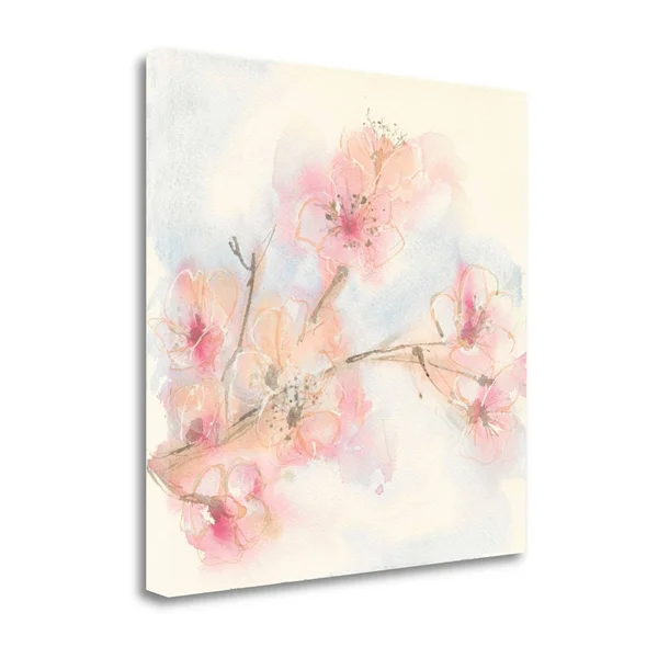 Tangletown Fine Art Pink Blossoms II by Chris Paschke, Giclee Print on Gallery Wrap Canvas, 25x25x22