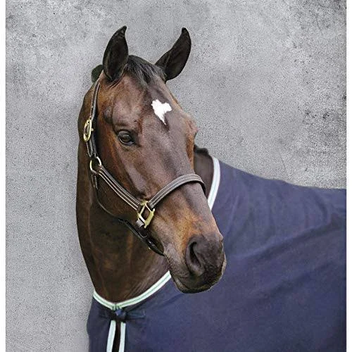 Suffolk by Dover Saddlery Triple-Stitched Halter