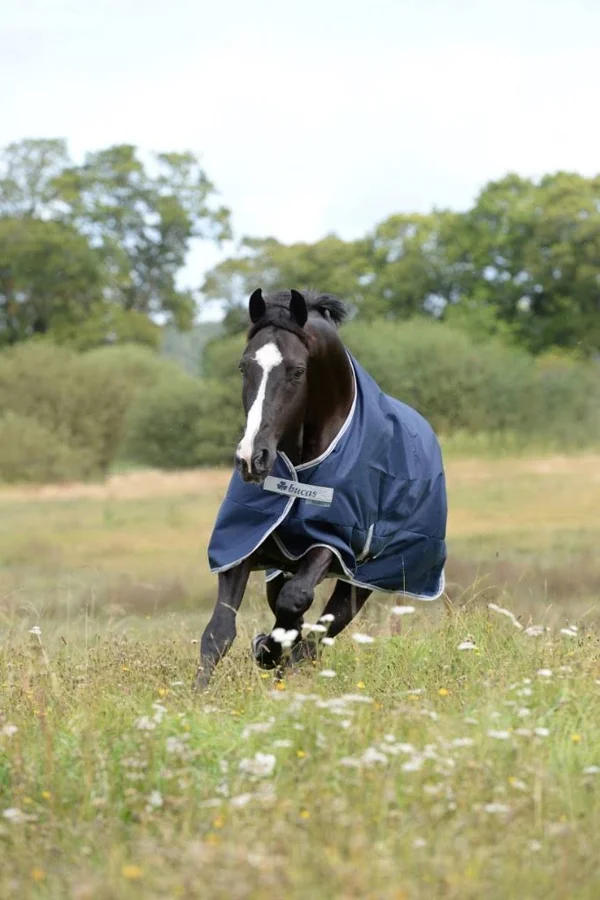Bucas Freedom Turnout 300g Navy