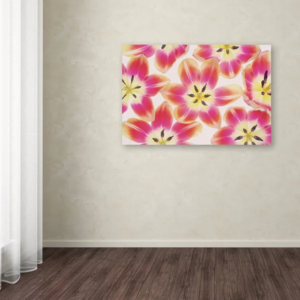 Trademark Fine Art Ali1803-C1624Gg Cora Niele &Yellow and Red Tulips&