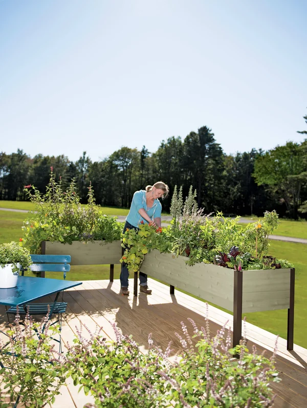 Eco-Stained Elevated Cedar Planter Box 2 ft x 8 ft - Elevated Planters - Gardener's Supply Company
