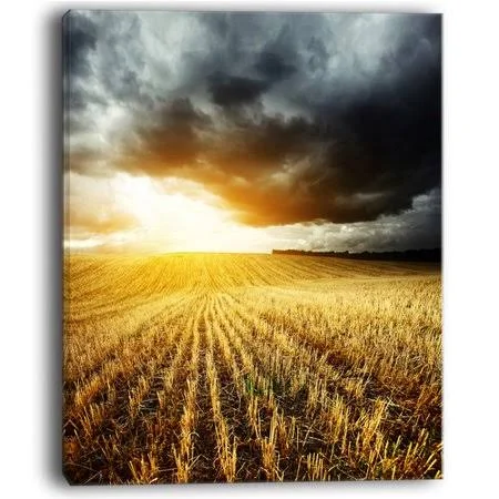 Design Art Storm Dark Clouds Over Wheat Stems Photographic Print on Wrapped Canvas, Yellow