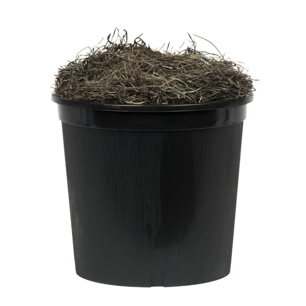 Vickerman TXX0340-06 4& Capensia Extra Full