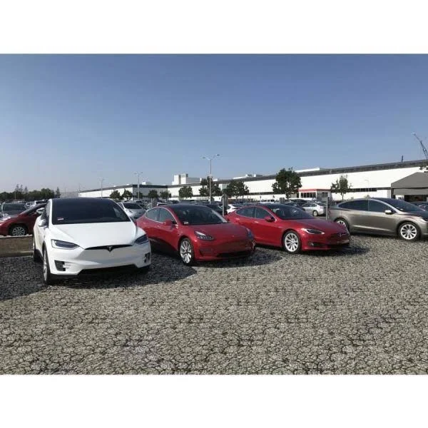 GRAVALOCK Permeable Paver 22 in. x 22 in. x 1.5 in. Premium Grid Plastic (12 Pavers/40.50 Sq. ft.)