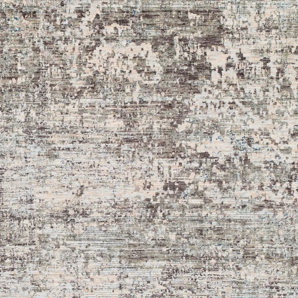 5' x 8.1' Distressed Finish Ivory and Cloud Gray Rectangular Area Throw Rug