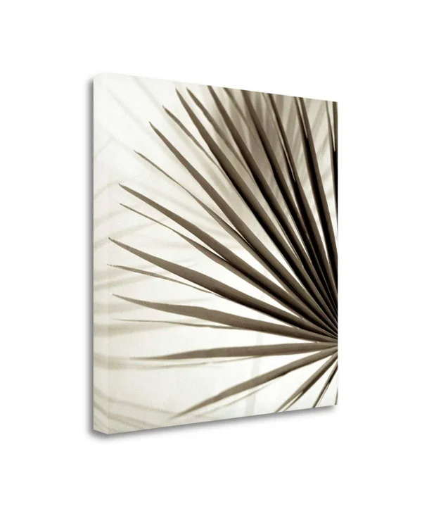 30x22 x 30x22 Florison - 66 by Alan Blaustein Fine Art Giclee Print