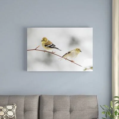 East Urban Home 'American Goldfinch Pair' Photographic Print on Canvas - Beige