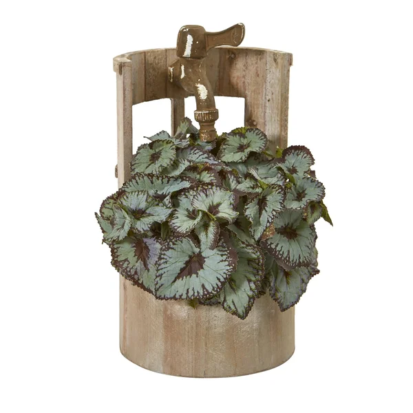 Nearly Natural 12 in. Rex Begonia Artificial Plant in Faucet Planter