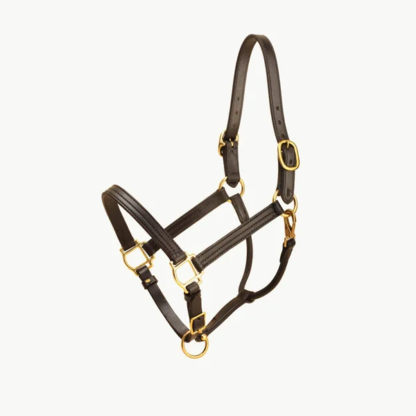Tory Leather Triple Stitched Halter - Snap & Brass Hardware, Black