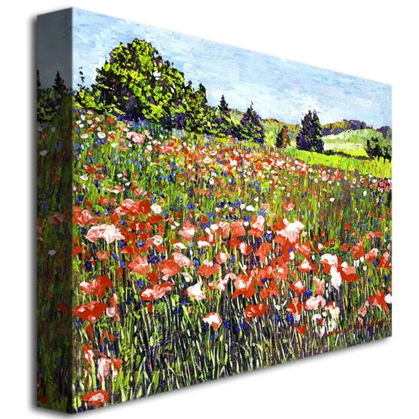 Trademark Art Poppy Fields of France Canvas Wall Art by David Lloyd Glover, Size: 24 x 32