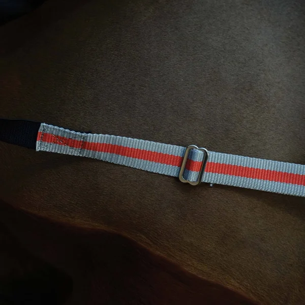 Weatherbeeta ComFiTec Premier with Therapy-Tec Detach-A-Neck Medium