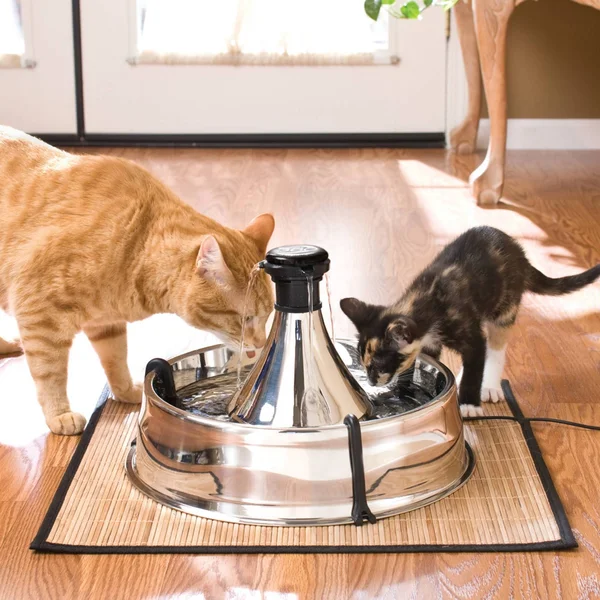 Drinkwell 360 Pet Fountain, Stainless Steel PetSafe