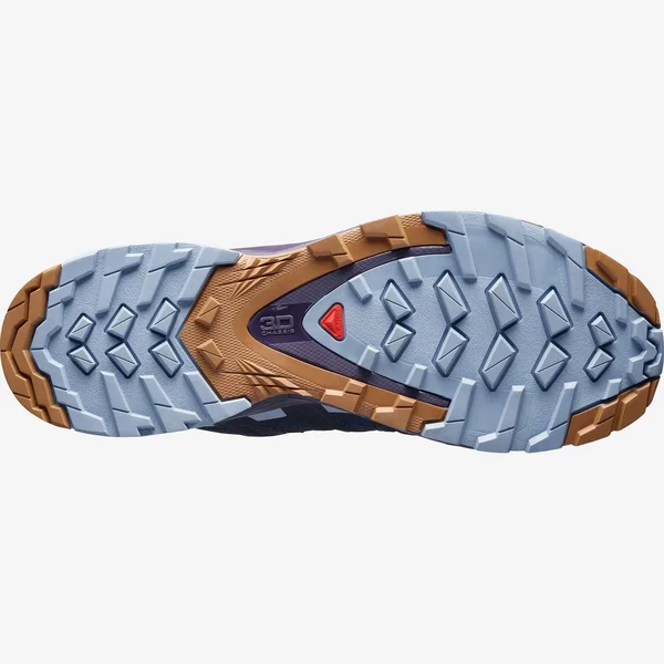 Salomon Women's XA Pro 3D V8 - 7.5, Poseidon/Violet Indigo/Forever