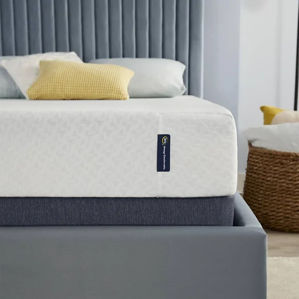 Serta Sheer Slumber 8-in Twin Memory Foam Mattress