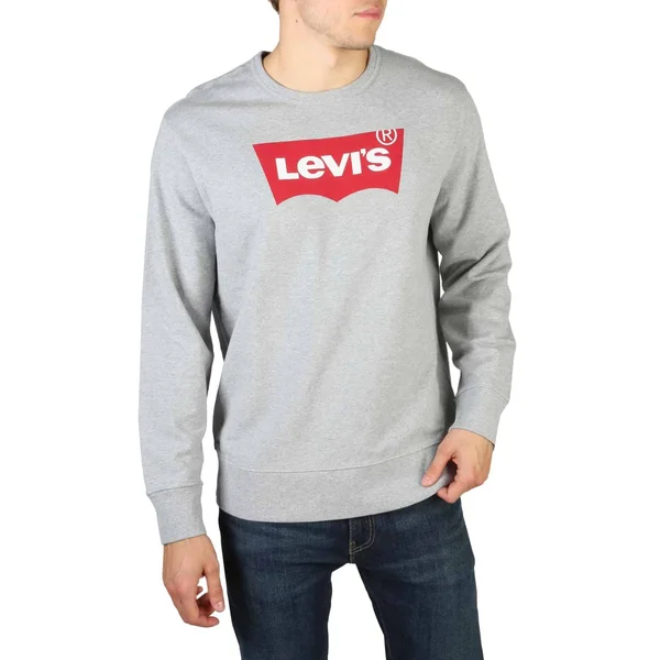 Levis - 17895_GRAPHIC - Grey, XL