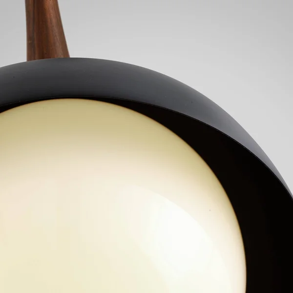 Troy Lighting Cadet 1-Light Black and Natural Acacia Pendant F7644
