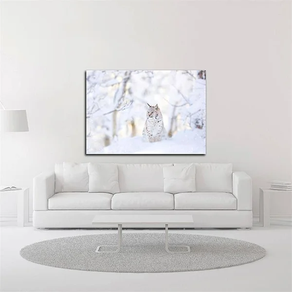 15x22 x 21x22 Snow Lynx by PhotoINC Studio Print on Canvas