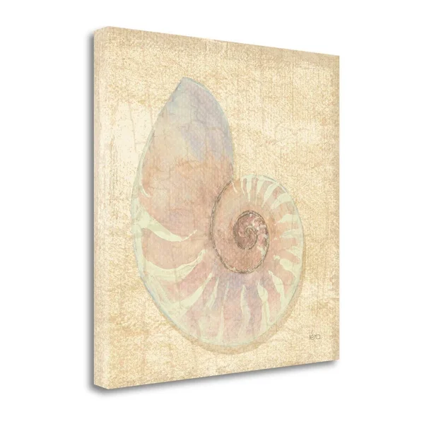 Giclee on Gallery Wrap Canvas Tropical Island Shell I by Veronique Charron Brown 24x22 x 24x22 - Cotton