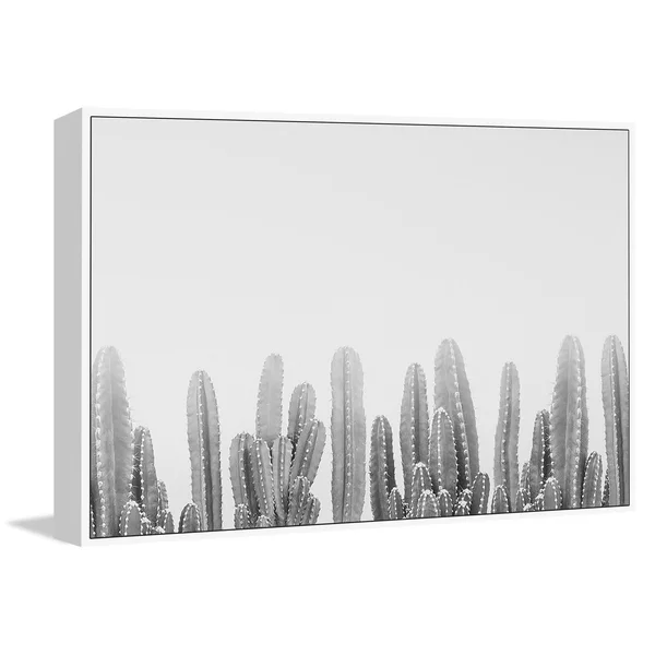 Marmont Hill - Handmade Cacti Splendor II Floater Framed Print on Canvas - 30 x 20