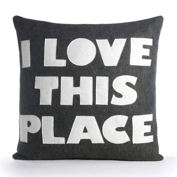 Alexandra Ferguson Celebrate Everyday I Love This Place Throw Pillow Color: Charcoal - White Felt, Size: 22x22 H x 22x22 W