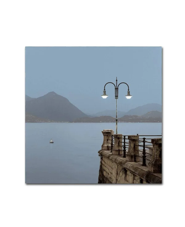 Trademark Art Alan Blaustein 'Lake Vista VI' Canvas Art