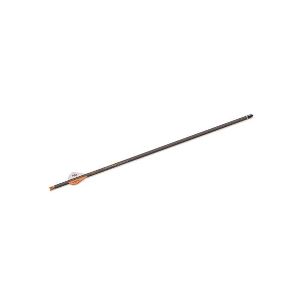 Centerpoint Cp400 Select Carbon Arrow