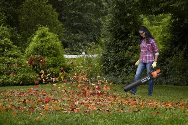 Worx Turbine Fusion Leaf Blower Mulcher And Vacuum