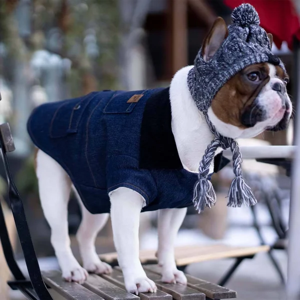 Canada Pooch Worker Dog Jacket 14