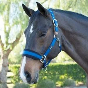 SmartPak Breakaway Halter with Coolmax Padding 2.0 - Pony - Navy
