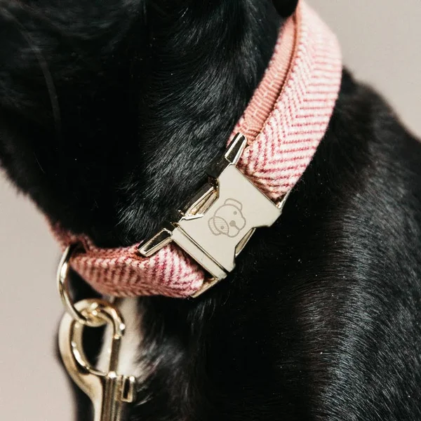 Kentucky Dogwear Dog Collar Wool