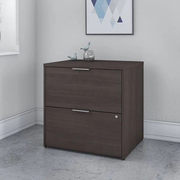 Bush Business Furniture Jamestown 2 Drawer Lateral File Cabinet - Assembled - Storm Gray