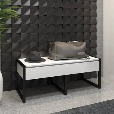 Caudillo Flip Top Storage Bench 17 Stories Color: White